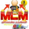 www.onlinebiz.epayfriend.com